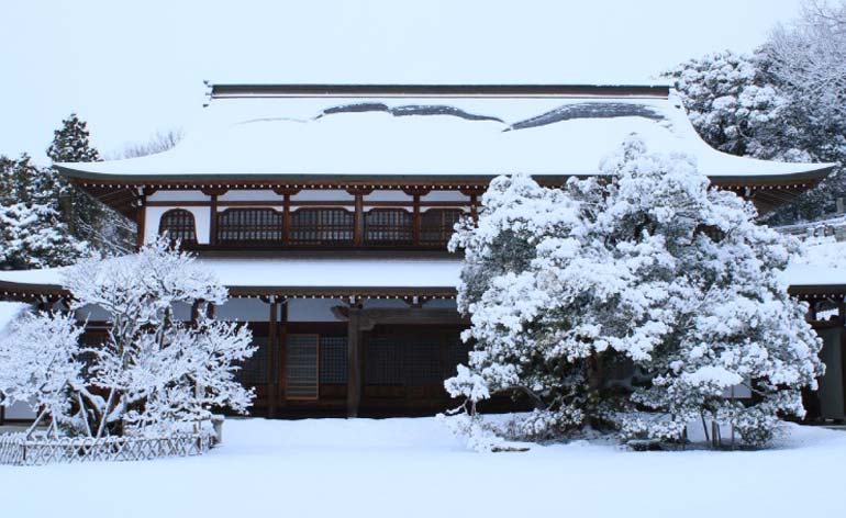 How UFC Fighters Train for Real-World Strength, Not Just Muscle