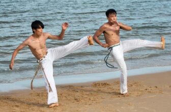 How Traditional Kung Fu Influences Modern UFC Fighters - KUNG FU KINGDOM