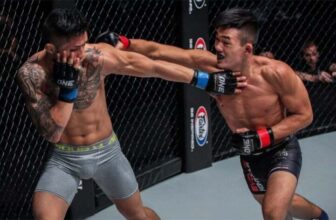 Top 10 Most Influential Striking Styles in MMA Today - KUNG FU KINGDOM