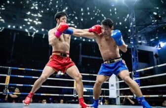 sanda in mma - KUNG FU KINGDOM