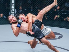 Christian “The Warrior” Lee: Top 5 MMA Finishes