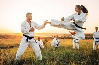 Writing the Perfect Martial Arts Dissertation for Students